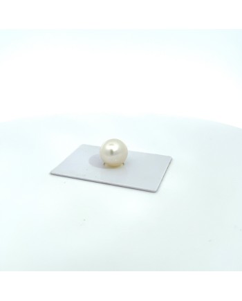 14.70x13.40mm South Sea pearl , origin Australia , jewel  grade