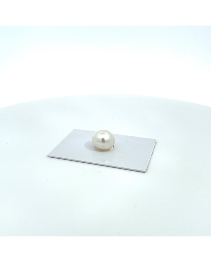 12mm+ gem  grade South Sea pearl, Australia