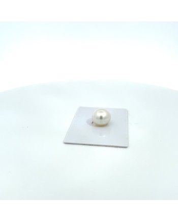 12mm+ gem  grade South Sea pearl, Australia