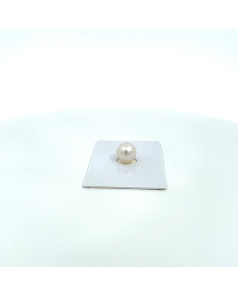 10.02x9.76mm South Sea pearl , origin Australia , jewel  grade