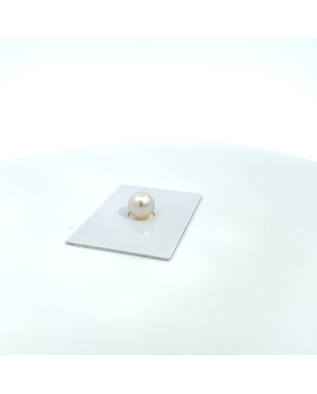 10.02x9.76mm South Sea pearl , origin Australia , jewel  grade