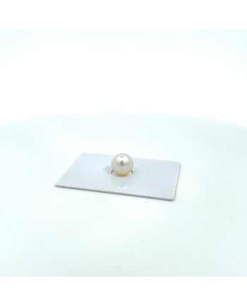 10.02x9.76mm South Sea pearl , origin Australia , jewel  grade