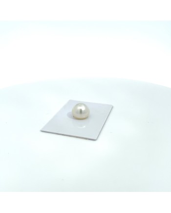 12.00x10.70mm South Sea pearl , origin Australia , jewel  grade