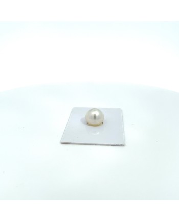 12.00x10.70mm South Sea pearl , origin Australia , jewel  grade