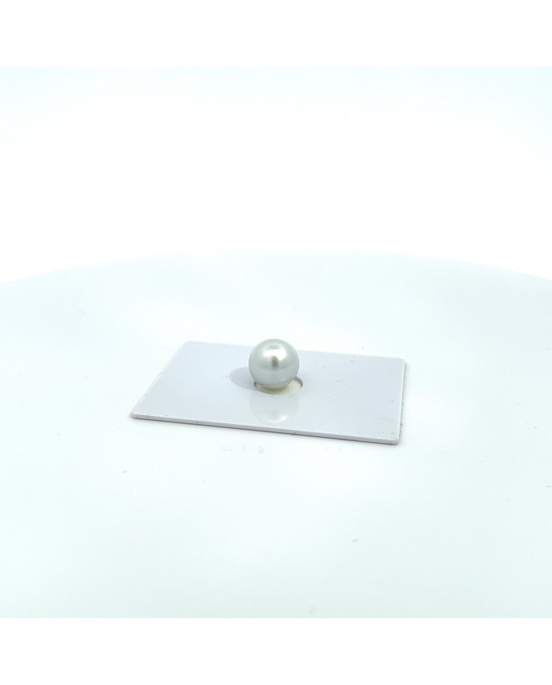 9mm+ gem  grade South Sea pearl, Australia