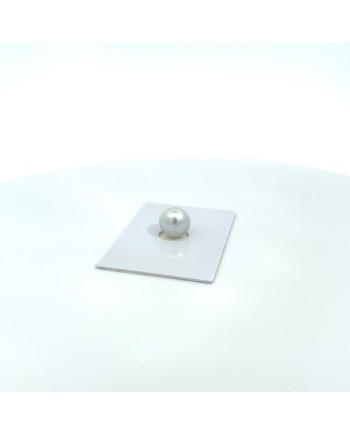 10.50x10.30mm South Sea pearl , origin Australia , gem  grade