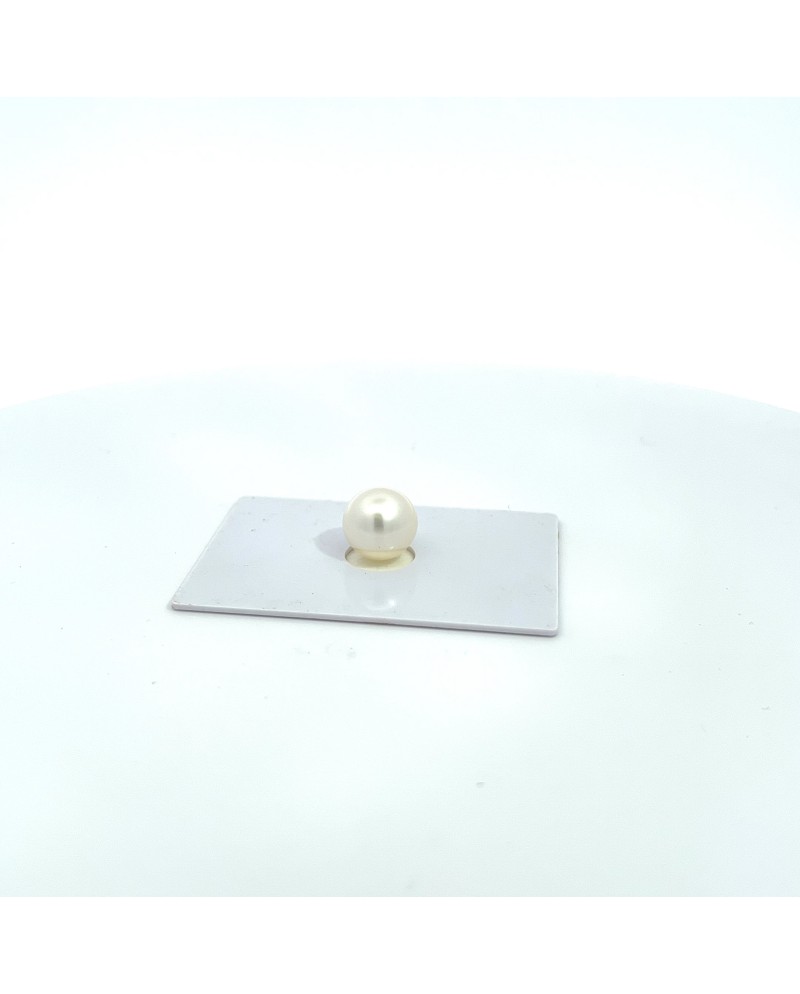 10.70x10.50mm South Sea pearl , origin Australia , gem  grade