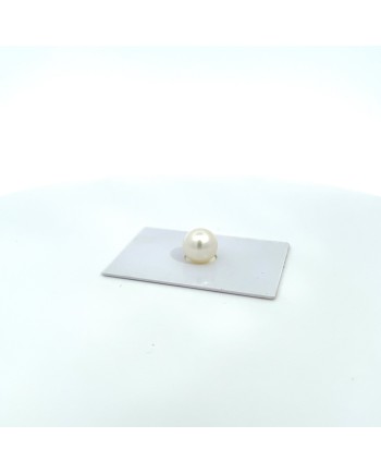 10.70x10.50mm South Sea pearl , origin Australia , gem  grade