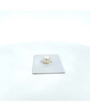 10.70x10.50mm South Sea pearl , origin Australia , gem  grade