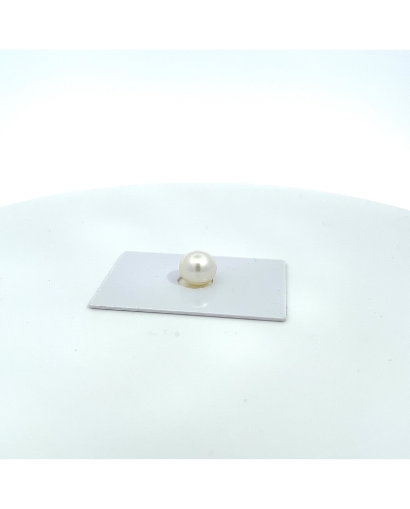 10.40x9.60mm South Sea pearl , origin Australia , fine  grade