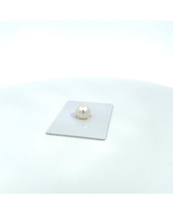10.40x9.60mm South Sea pearl , origin Australia , fine  grade