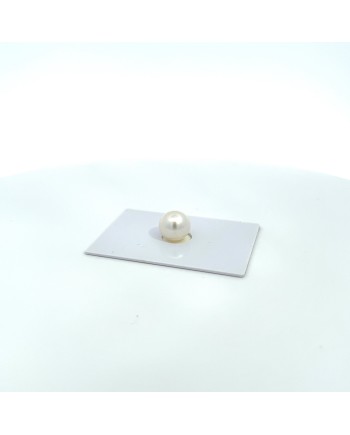 10.40x9.60mm South Sea pearl , origin Australia , fine  grade