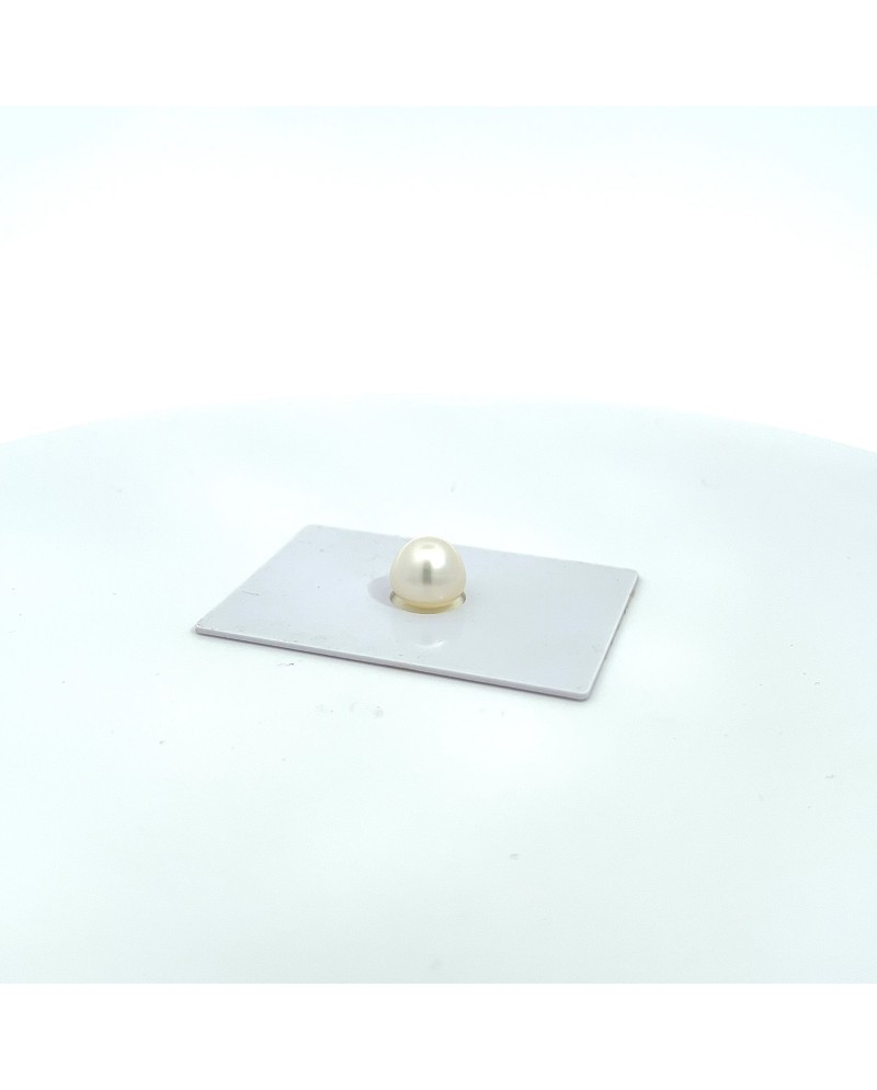 10.00x9.28mm South Sea pearl , origin Australia , gem  grade
