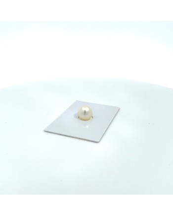 10.00x9.28mm South Sea pearl , origin Australia , gem  grade