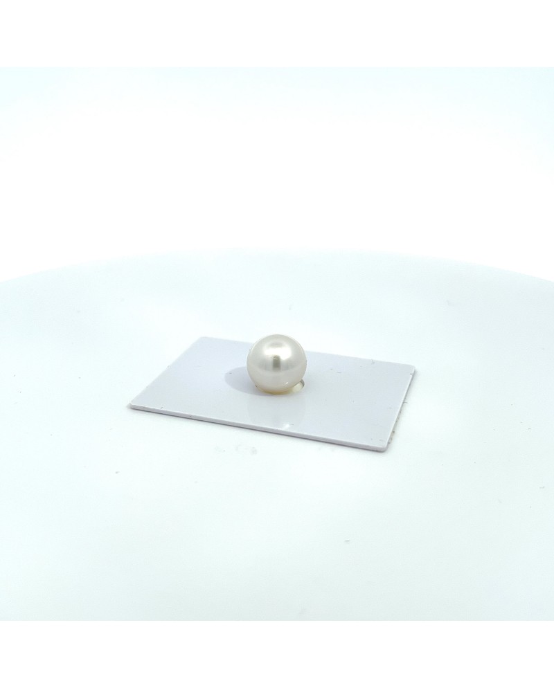 12.00x11.70mm South Sea pearl , origin Australia , gem  grade