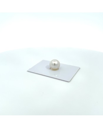 12mm+ gem  grade South Sea pearl, Australia