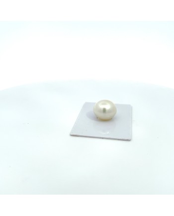 15.40x13.20mm South Sea pearl , origin Australia , jewel  grade