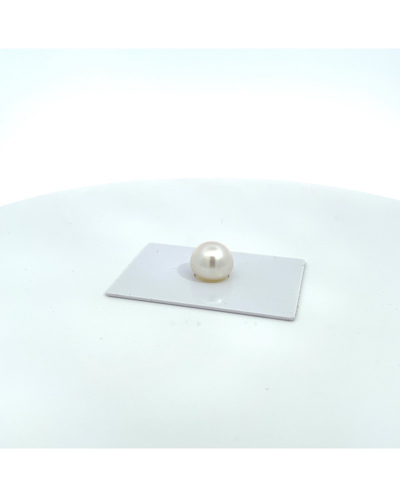 12.28x10.90mm South Sea pearl , origin Australia , jewel  grade