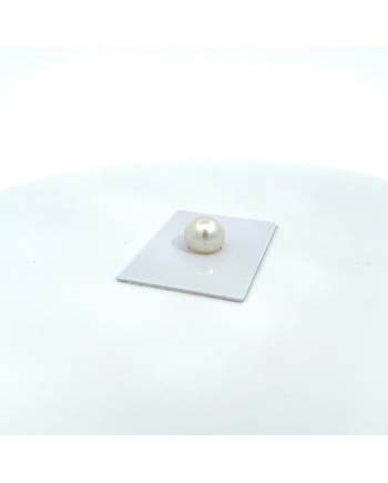 12.28x10.90mm South Sea pearl , origin Australia , jewel  grade