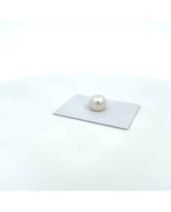 12mm+ jewel  grade South Sea pearl, Australia