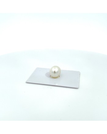 15.7x11.500mm South Sea pearl , origin Australia , gem  grade