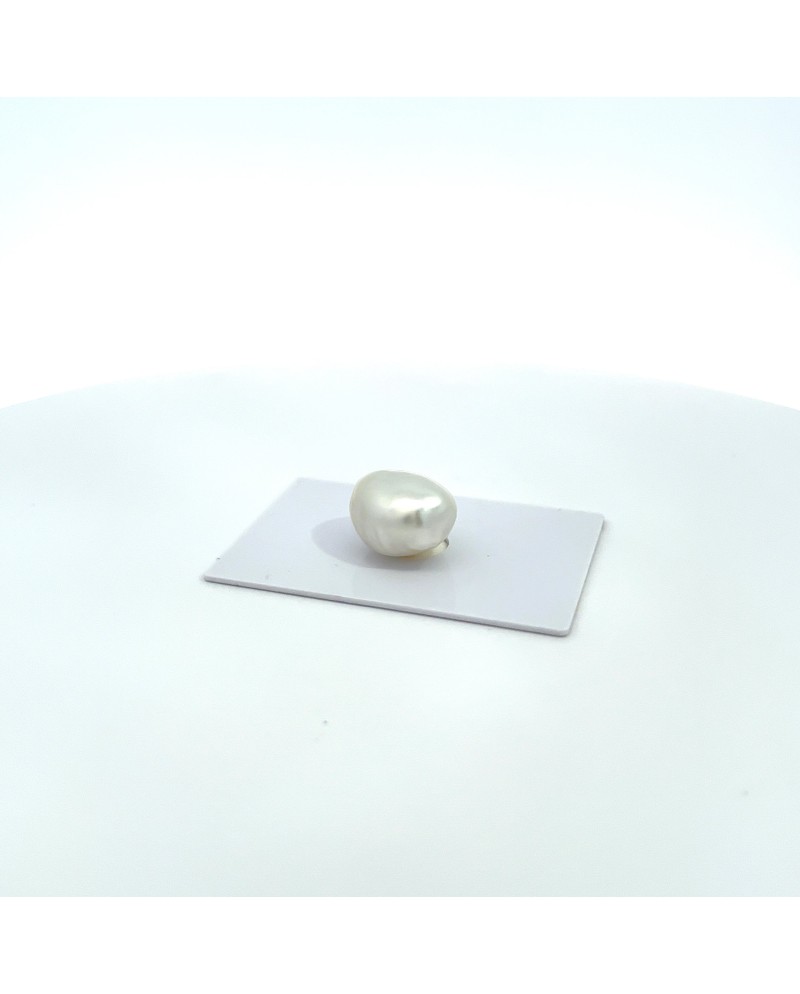 16.40x14.40mm South Sea pearl , origin Australia , gem  grade