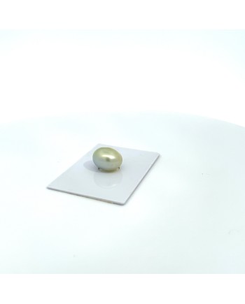12.70x10.70mm South Sea pearl , origin Australia , jewel  grade