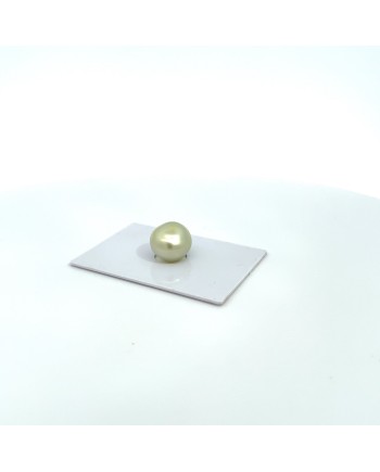 12.70x10.70mm South Sea pearl , origin Australia , jewel  grade