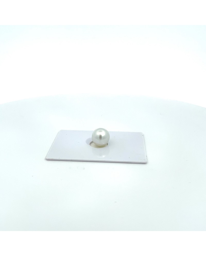11.93x9.82mm South Sea pearl , origin Australia , fine  grade
