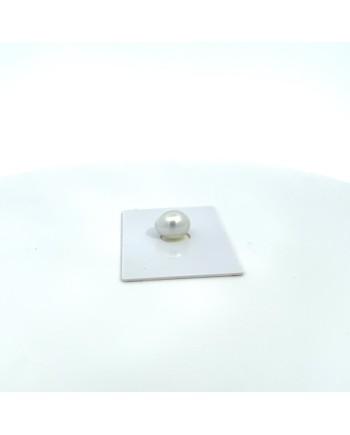 11.93x9.82mm South Sea pearl , origin Australia , fine  grade