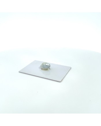 12mm+ gem  grade South Sea pearl, Australia