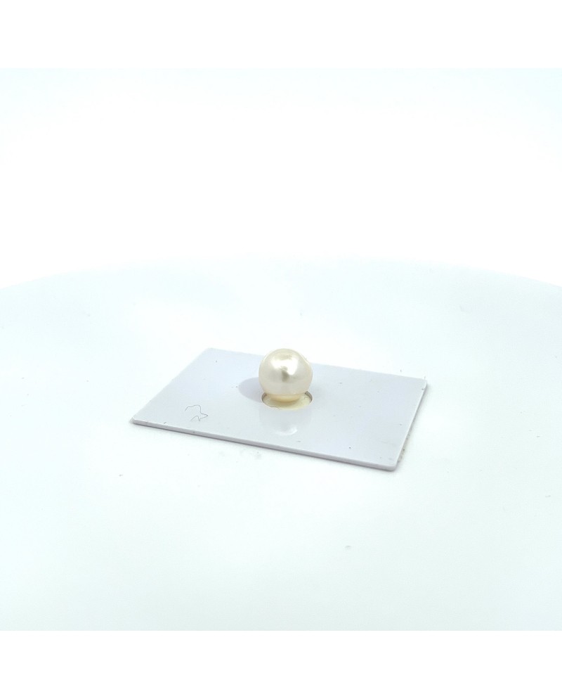 10.70x10.60mm South Sea pearl , origin Australia , gem  grade