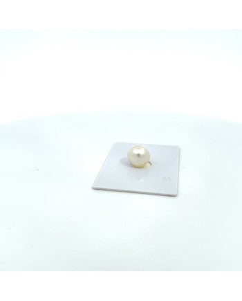 10.70x10.60mm South Sea pearl , origin Australia , gem  grade