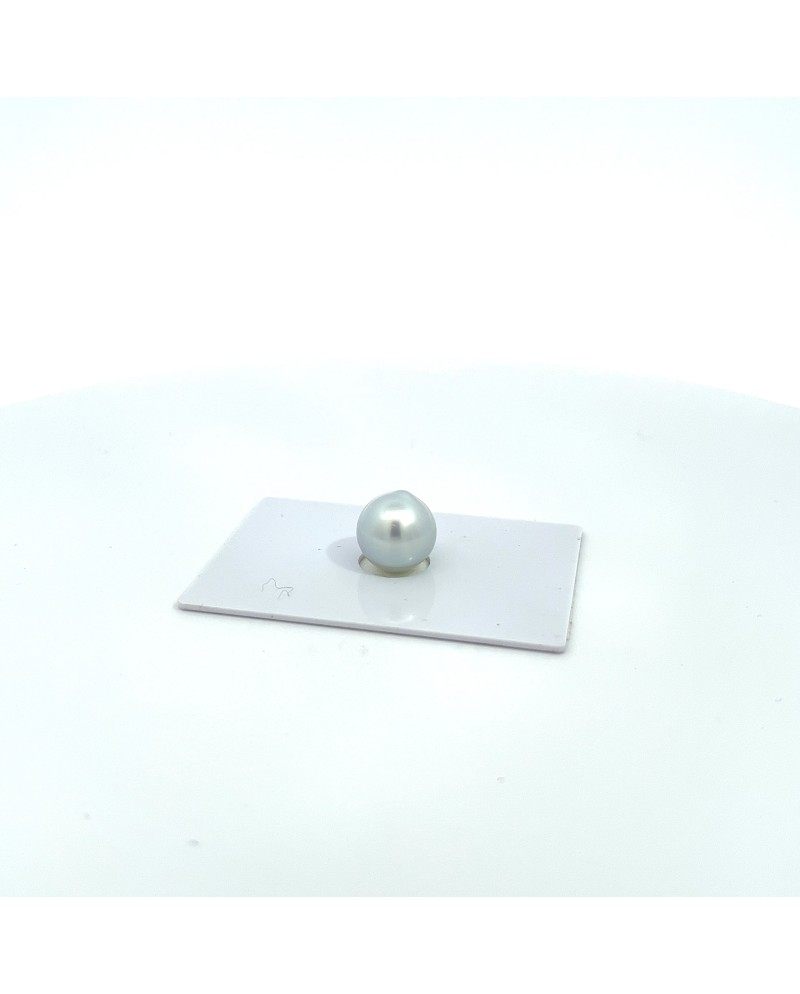 9mm+ gem  grade South Sea pearl, Australia