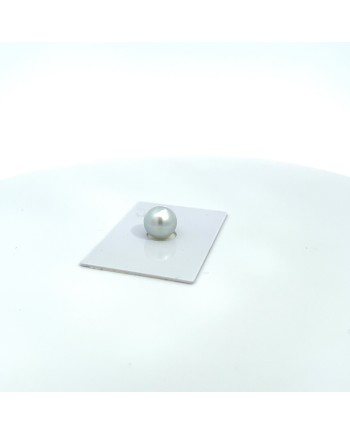 11.40x11.10mm South Sea pearl , origin Australia , gem  grade