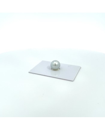9mm+ gem  grade South Sea pearl, Australia