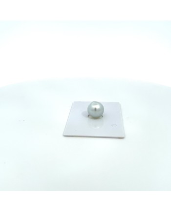 11.40x11.10mm South Sea pearl , origin Australia , gem  grade