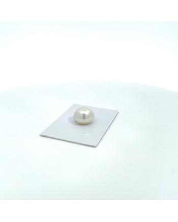 13.70x11.10mm South Sea pearl , origin Australia , jewel  grade