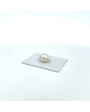 13.70x11.10mm South Sea pearl , origin Australia , jewel  grade